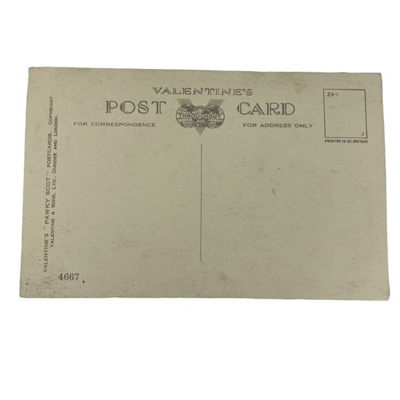 Vintage Postcard Novelty Valentines Postcard Pet Aversions Take Whisky u Aberdon - Picture 2 of 2